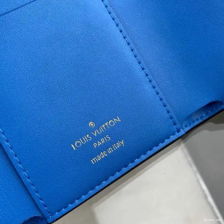 Brother sam Bags 208B570016 LV 0802